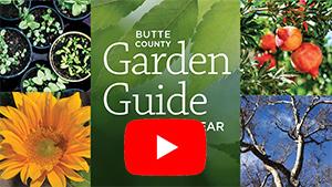 Watch a video about the Garden Guide.