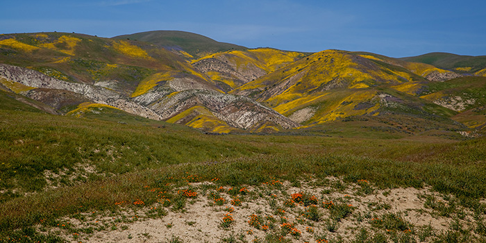 Carizzo Plain