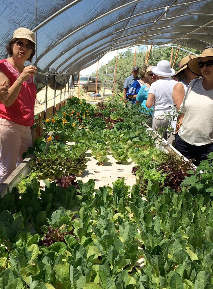 Master Gardener outing to Richardson Springs.