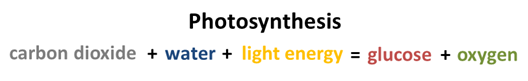 Figure 2. Simple equation describing the molecules required for photosynthesis and its products.