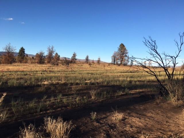 2020 Sheep Fire rangeland seeding