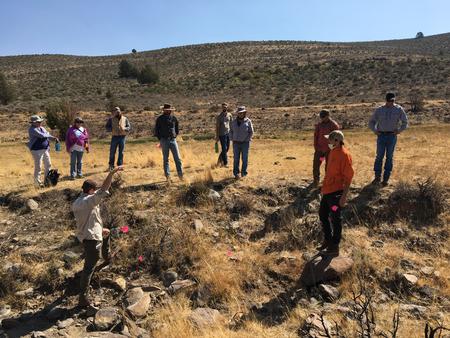 Working Group discussing riparian restoration techniques in the field