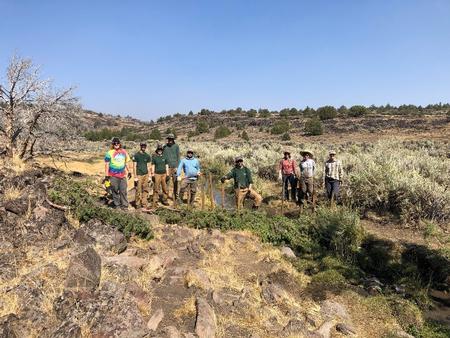 Beavers stand proudly next to their creation in Cottonwood Creek