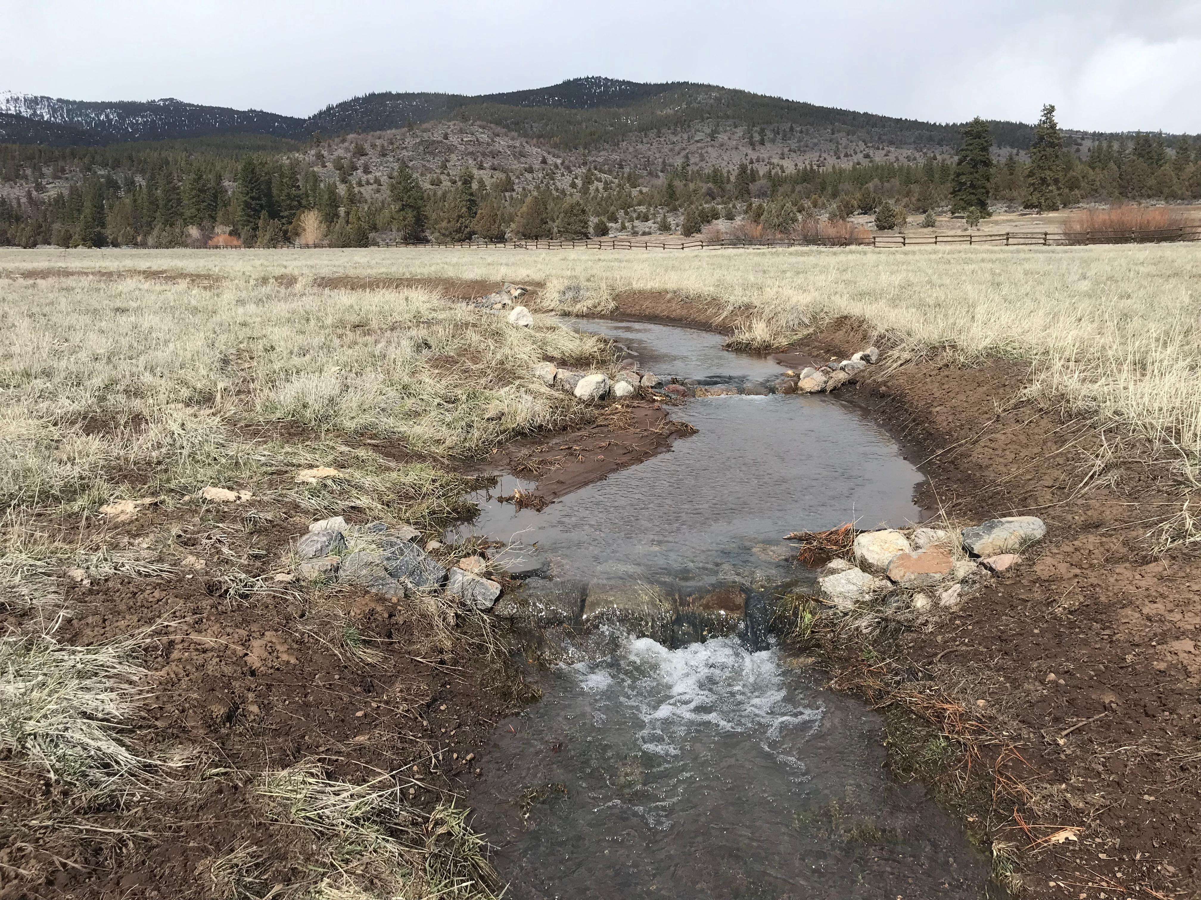 Same One Rock Dams in March 2023 catching sediment from large flows