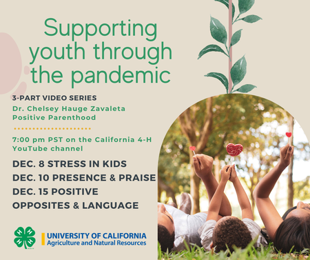 Video series-Supporting Youth Through the Pandemic. Featuring Dr. Chelsey Hauge Zavaleta of Positive Parenthood