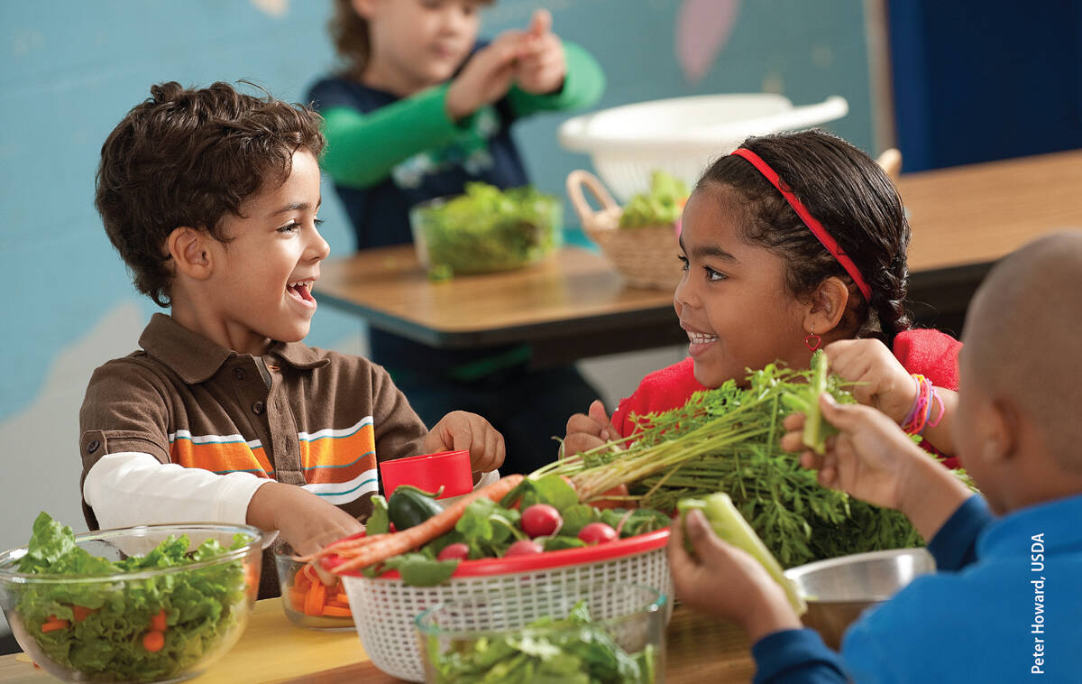 Image result for Children’s Diet: Fruits And Vegetables