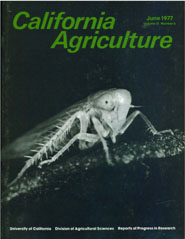 California Agriculture, Vol. 31, No.6