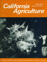 California Agriculture, Vol. 33, No.6