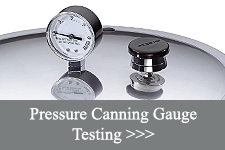 Pressure Gauge Testing Locations