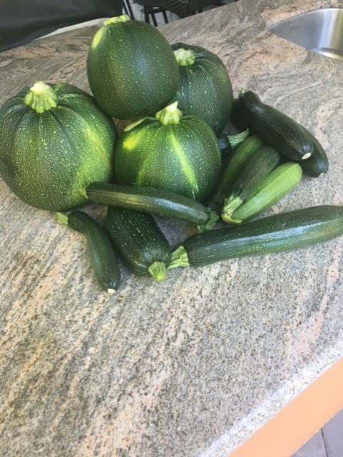 Dehydrating zucchini for soup