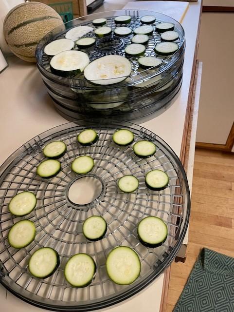 Zucchini slices on dehydrator trays (Photo credit to author).