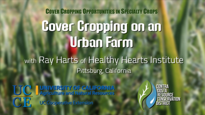 HealthyHearts-CvrCrp-Cover1
