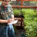 UC Master Gardener Steve Potter Inventorying Tomatoes
