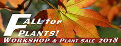 FallForPlants-Home Page Badge-242px
