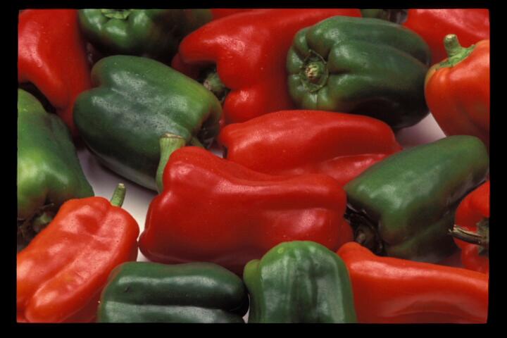 Several green and red chile peppers. ©UC Regents