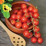 Tomato_Cherry_Lizzano_Territorial Seed Company-150