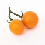 Tomato_Cherry_Orange Paruche_MGFT-150