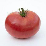 Tomato_Beefsteak_Mortgage Lifter_MGFT-150