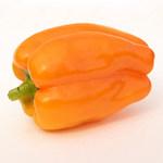 Pepper_Sweet_Orange Marmelade_MGFT-150