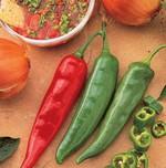 Pepper_Hot_Garden Salsa_HPS Seed-150