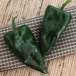 Pepper_Hot_Poblano, Trident_HPS Seed-150