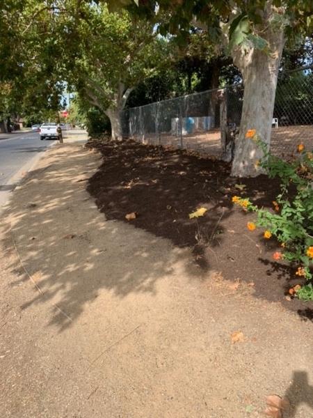 Cleared and mulched.  Photo Credit by Phil Quinlan.