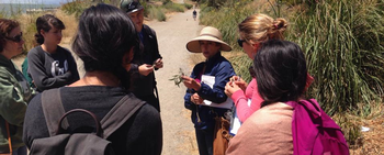 Dawn Kooyumjian teaches about weeds and invasive species at the Albany Bulb.