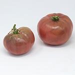 Tomato_Beefsteak_Carbon_UCMG of CCC_sm96