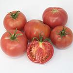 Tomato_Beefsteak_Chef's Choice Pink_UCMG of CCC_sm96