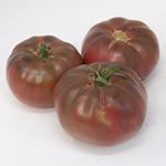 Tomato_Beefsteak_Cherokee Purple_UCMG of CCC_sm96