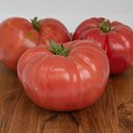 Tomato_Beefsteak_Ester's Mortgage Lifter_UCMG of CCC_sm96