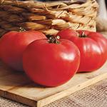 Tomato_Slicer_Rose De Berne_High Mowing Organic Seeds (1)_sm96