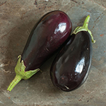 Eggplant_Galine_Johnny's Selected Seeds, johhnyseeds.com_sm96