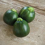 Zucchini_Eight Ball_Johnny's Selected Seeds, johnnyseeds.com_sm96
