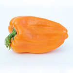 Pepper_Sweet_Orange Bell_UCMG of CCC_sm96