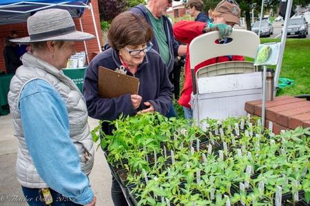 UC Master Gardeners Mary Jo Corby and Barbara Siegel check plants before a past GTPS while other CoCoMGs set up. Photo by Fletcher Oakes.