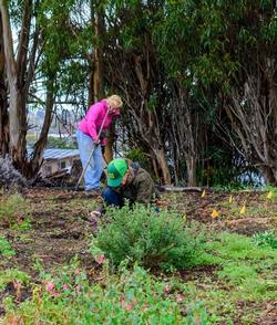 Liz Rottger and Liv Imset work in the Pollinator Garden at the Water Conservation Garden. Photo by Fletcher Oakes.