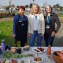 UC Master Gardeners Teach Plant Propagation to Students at John Muir Family Farm