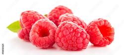 Raspberries. Courtesy of AdobeStock.