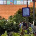 School Gardens Impact Our Communities