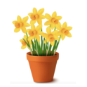 Help Desk Tackles Forgotten Spring Bulbs