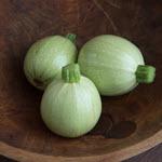 Summer Squash_Cue Ball_Johnny's Selected Seeds, johnnyseeds.com-150