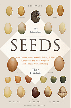 Seeds-1