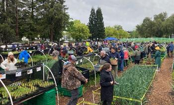 Customers load up on the offerings at the Our Garden Walnut Creek GTPS. Photo by Greg Letts.