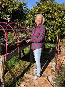 School Gardens Co-Lead Pam Austin tends to plants.