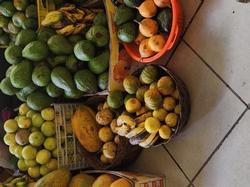 Cherimoya, guava, and huge avocados