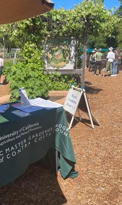 Lafayette Community Garden during grand rounds with UC Master Gardeners, LCG gardeners and the public.