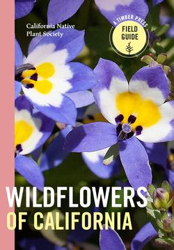 Wildflowers-of-California-Cover-1431x2048