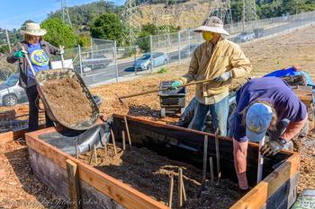 UC Master Gardeners wear gloves and sun protection while building a bed at the Water Conservation Garden. Photo by Fletcher Oakes.