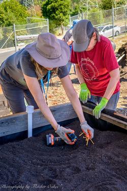 CoCoMGs work together wearing gloves and sun protection at the Water Conservation Garden. Photo by Fletcher Oakes.